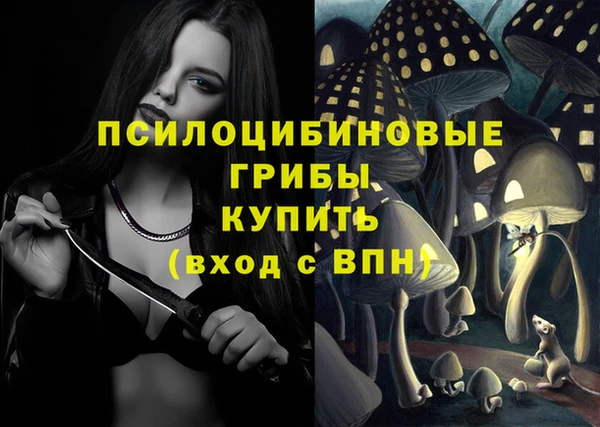 героин Кукмор