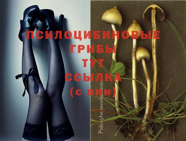 героин Кукмор