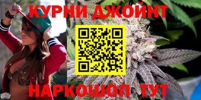 apvp Бийск