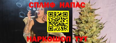 apvp Бийск