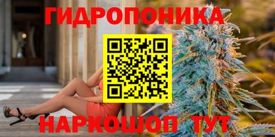 твердый Берёзовский