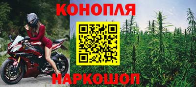 apvp Бийск