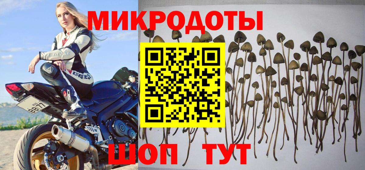 Галлюциногенные грибы мицелий  купить  сайты  Псилоцибиновые грибы мицелий  Волгодонск 