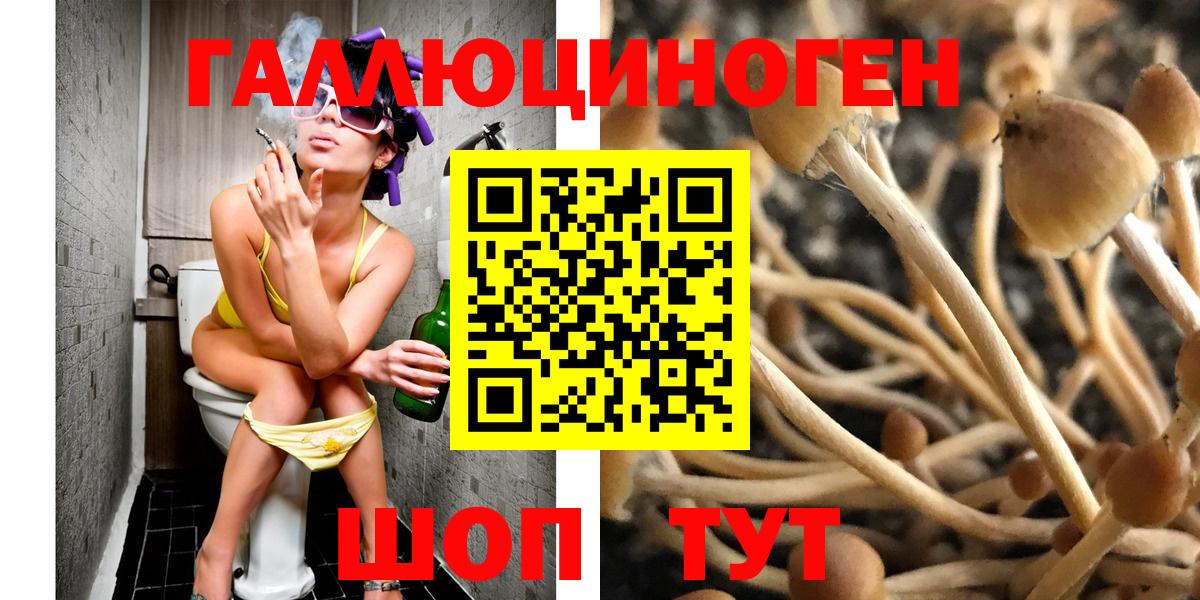 Псилоцибиновые грибы мицелий Волгодонск