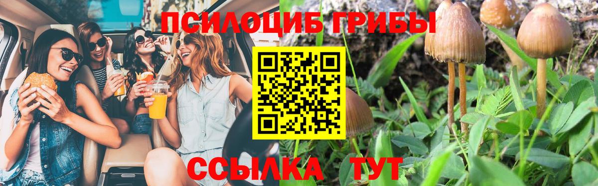 Псилоцибиновые грибы MAGIC MUSHROOMS Волгодонск